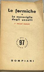 Le formiche e Le meraviglie degli uccelli