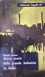 Breve storia della grande industria in Italia