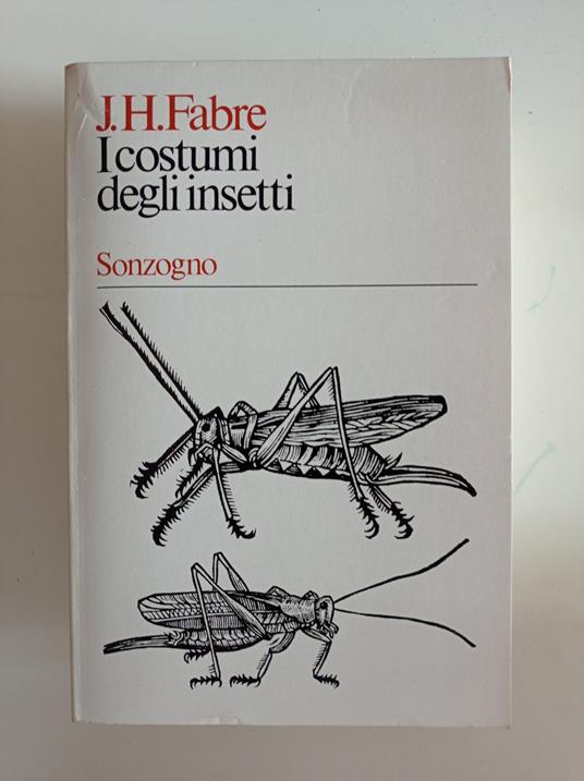 I costumi degli insetti - J. H. Williams - copertina