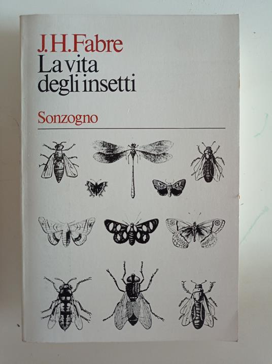 La vita degli insetti - J. H. Williams - copertina