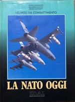 Velivoli da combattimento. La Nato oggi