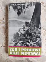 Con i primitivi delle mentawi