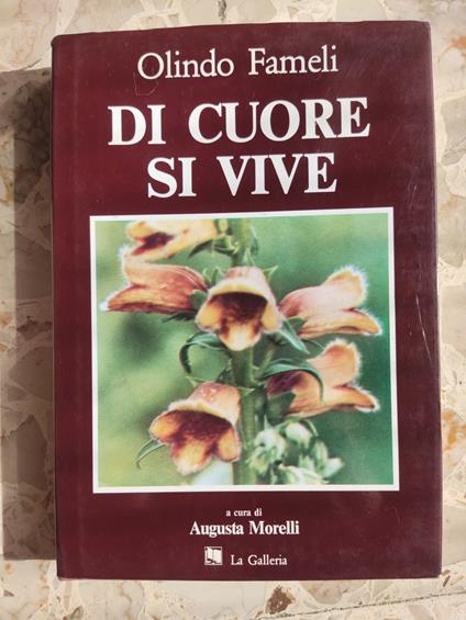 Di cuore si vive - Olindo Fameli - copertina