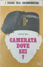 Camerata dove sei?