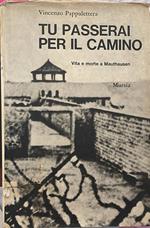 Tu passerai per il camino. Vita e morte a Mauthausen