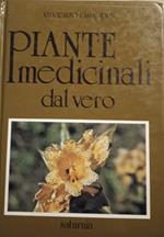 Piante medicinali dal vero