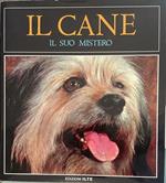 Il Cane. Il suo mistero