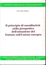 Il principio di sussidiarietà nella prospettiva dell'attuazione del Trattato sull'Unione europea