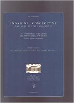 Indagine conoscitiva sul dissesto idrogeologico della città di Napoli