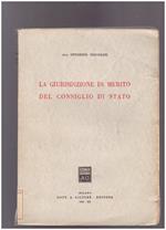 La giurisdizione di merito del Consiglio di Stato