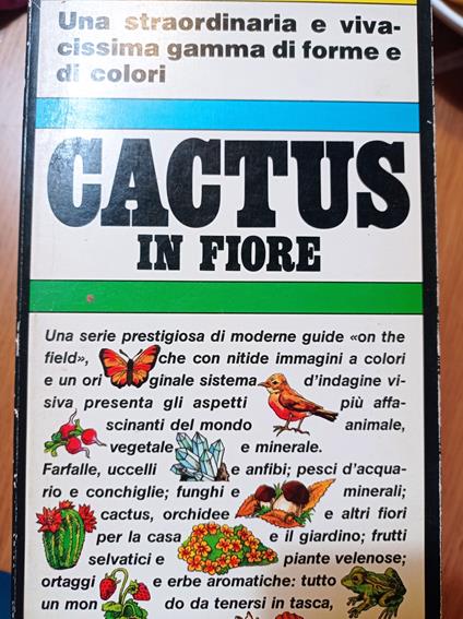 Cactus in fiore - copertina