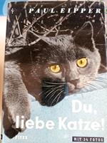 Du, liebe Katze!