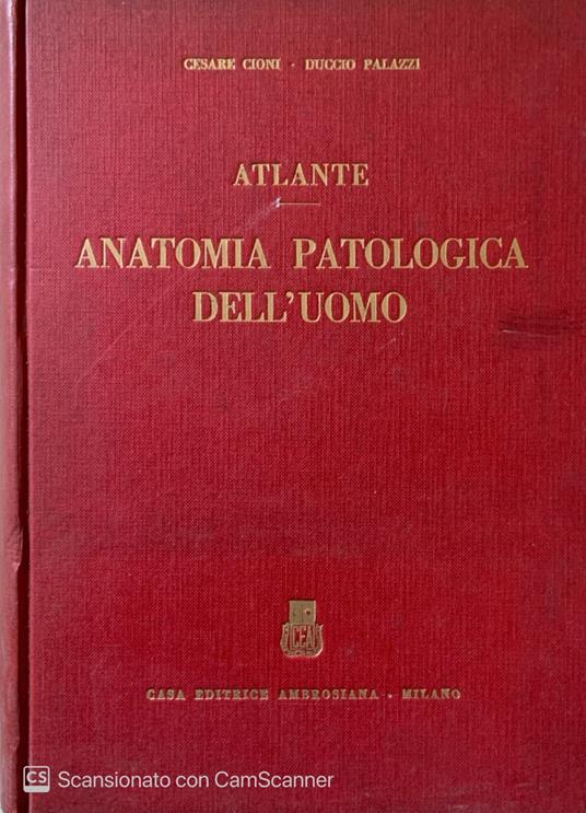 Atlante Anatomia patologica dell' uomo - copertina