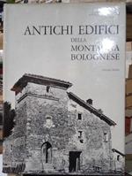 Antichi edifici della Montagna Bolognese, vol. 1°: Affrico - Luminasio. Un volume