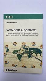 Passaggio a nord-est. L'unione europea tra geometrie variabili, cerchi concentrici e velocità differenziate