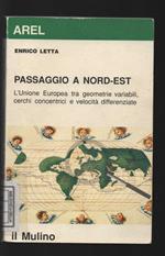 Passaggio a nord-est. L'unione europea tra geometrie variabili, cerchi concentrici e velocità differenziate