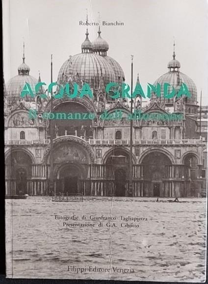 Acqua granda. Il romanzo dell'alluvione - copertina