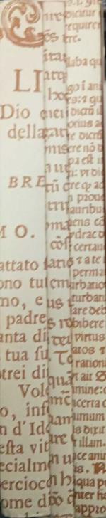 Alle radici della grande Europa del razionalismo economico, dell'umanesimo civile (ristampa anastatica)