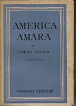 America amara. Quinta edizione