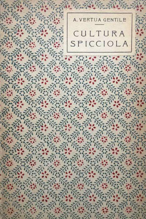 Cultura spicciola - Anna Vertua Gentile - copertina