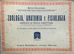 Zoologia, anatomia e fisiologia