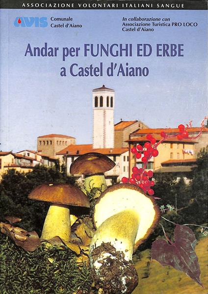Andar per funghi ed erbe a Castel d'Aiano - Autori Vari - copertina