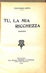 Tu, la mia ricchezza : romanzo