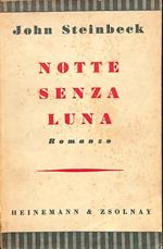 Notte senza luna : romanzo