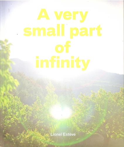 A very small part of infinity: édition bilingue (franà§ais / anglais) - copertina