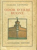 Odor d'erbe buone