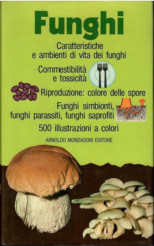 Funghi - Giovanni Pacioni - copertina