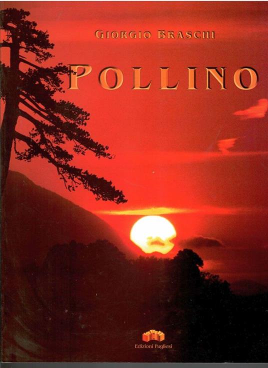 Pollino. Viaggio interiore in una realtà irreale - Giorgio Braschi - copertina