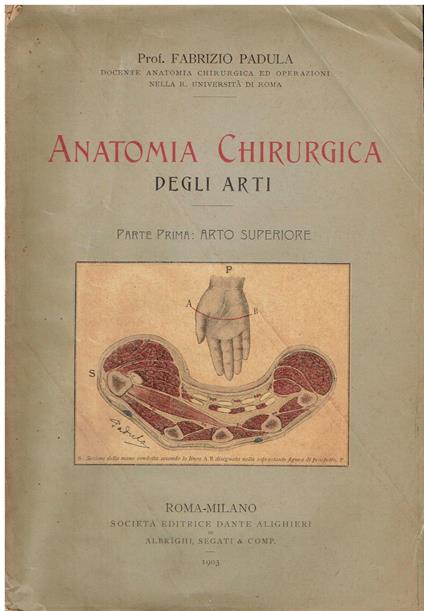 Anatomia chirurgica degli arti. Parte prima: arto superiore - copertina