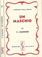 Un maschio