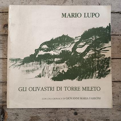 Gli olivastri di Torre Mileto - copertina