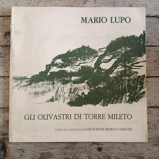 Gli olivastri di Torre Mileto - copertina