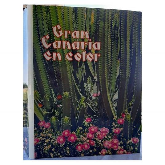 Gran Canaria En Color - copertina