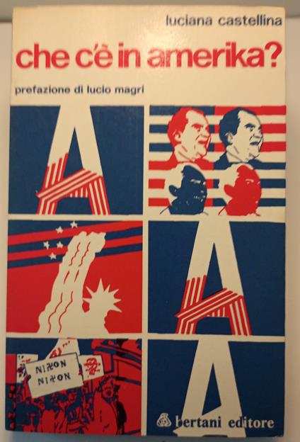 Che c'è in Amerika - Luciana Castellina - copertina