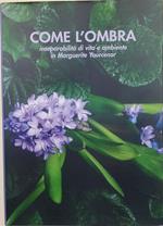 Come l'ombra-inseparabilità di vita e ambiente in Marguerite Yourcenar