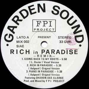 Rich In Paradise (Remix) - Vinile LP di FPI Project