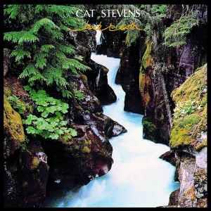 Back To Earth - Vinile LP di Cat Stevens