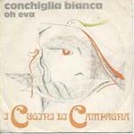 Conchiglia Bianca