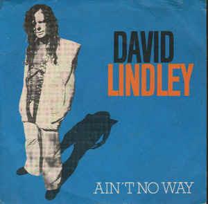 Ain't No Way - Vinile 7'' di David Lindley