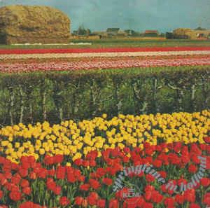 Springtime In Holland - Printemps En Hollande - Vinile 7'' di Georg Friedrich Händel