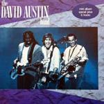 The David Austin Band