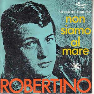 Non Siamo Al Mare - Vinile 7'' di Robertino