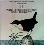 Petits Grimpeurs Roitelets / Cincle Troglodyte