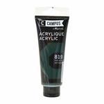 Pittura acrilica 100 ml - Verde vescica n°819