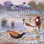 Oiseaux De Linde Et Du Nepal