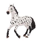 Cavallo Appaloosa Grande